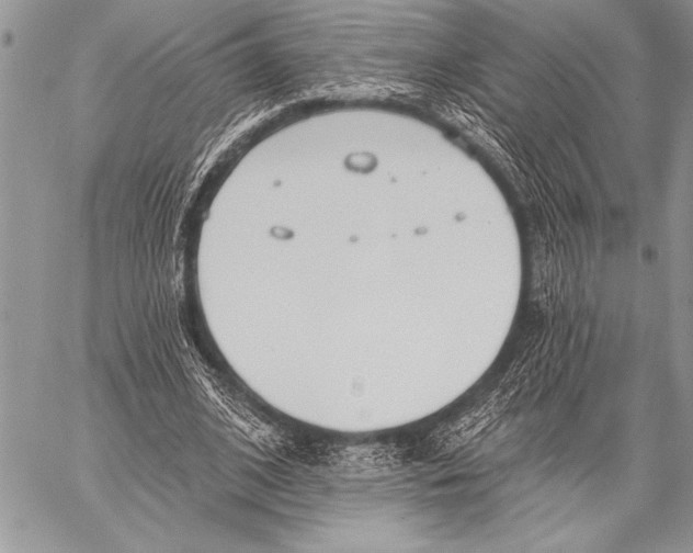 X0000058120584200510171312