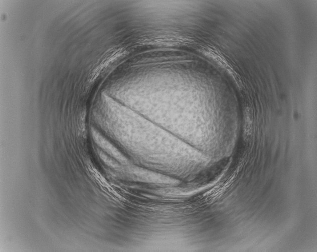 X0000058120585200510171312