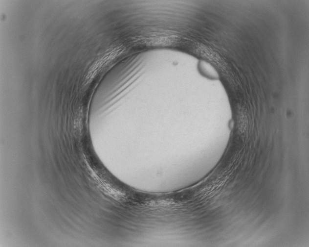 X0000058120586200510171312