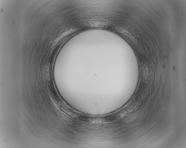 X0000058120587200510171312