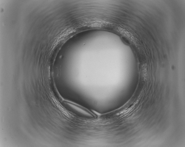 X0000058120589200510171312