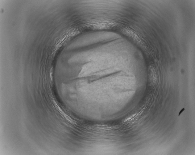 X0000058120590200510171312