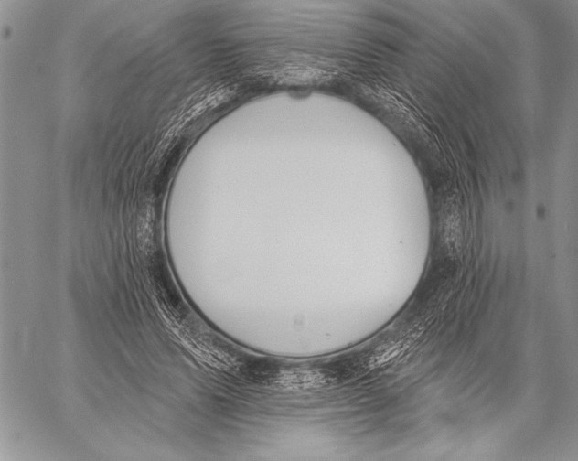 X0000058120591200510171312