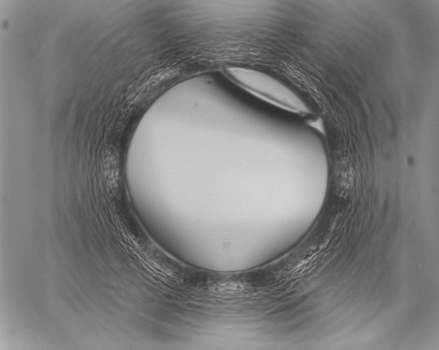 X0000058120593200510171312