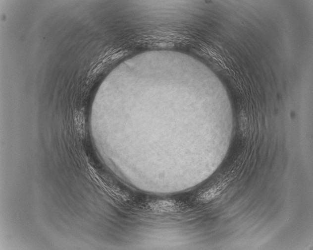 X0000058120594200510171312