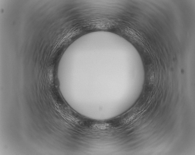 X0000058120595200510171312