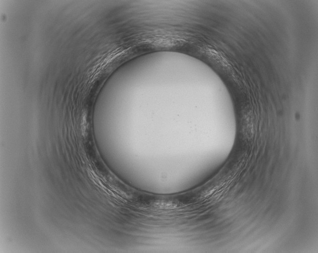 X0000058120596200510171312