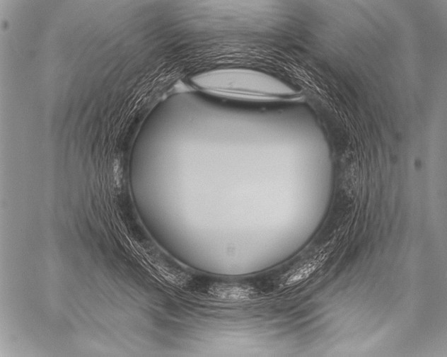 X0000058120597200510171312