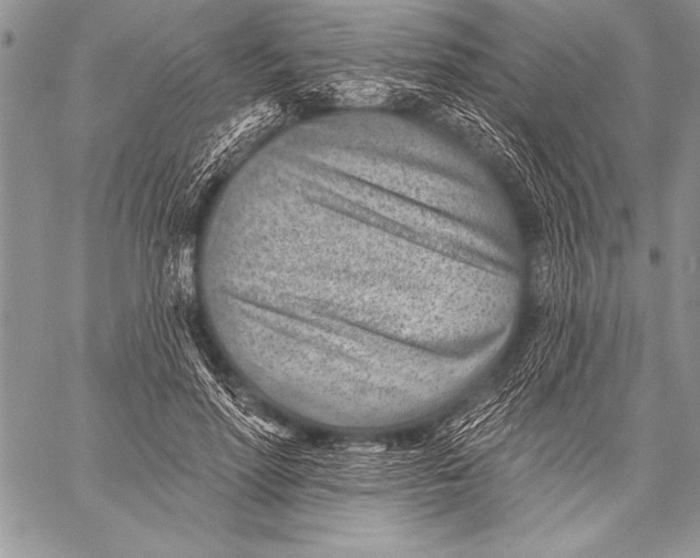 X0000058120598200510171312