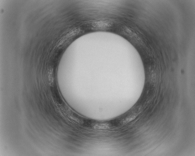 X0000058120599200510171312