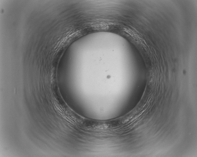 X0000058120600200510171312