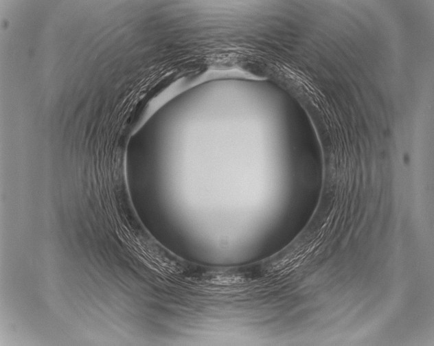 X0000058120601200510171312