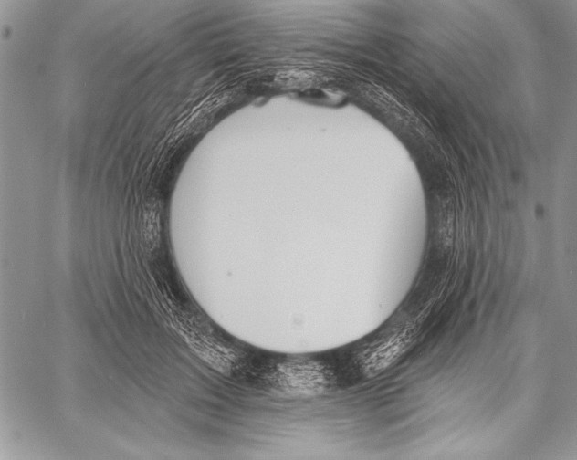 X0000058120603200510171312