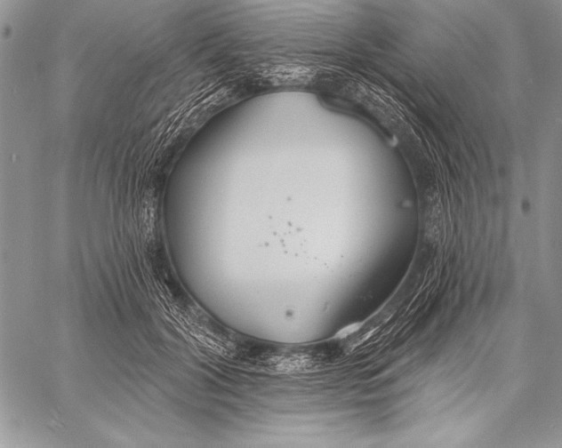 X0000058120604200510171312