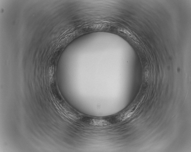 X0000058120605200510171312