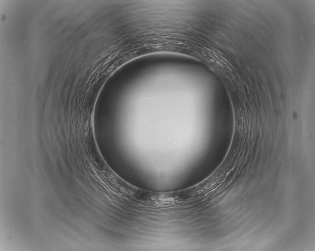 X0000058120607200510171312