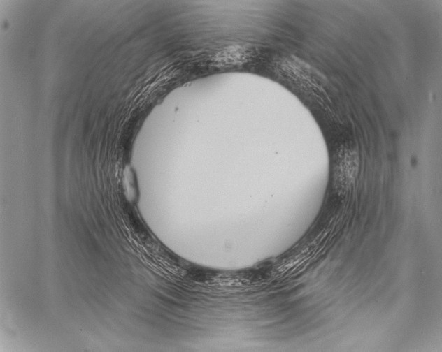 X0000058120608200510171312