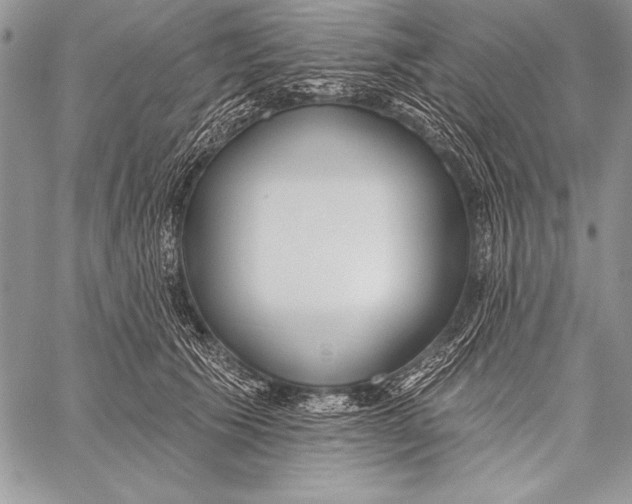 X0000058120609200510171312