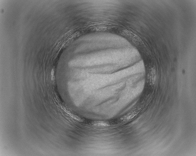 X0000058120610200510171312