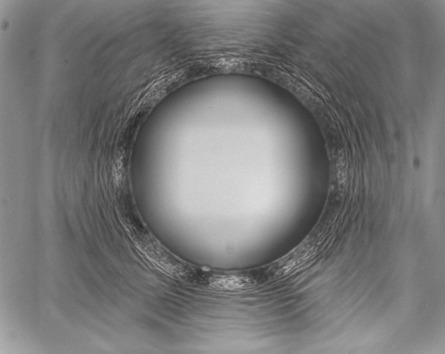 X0000058120611200510171312