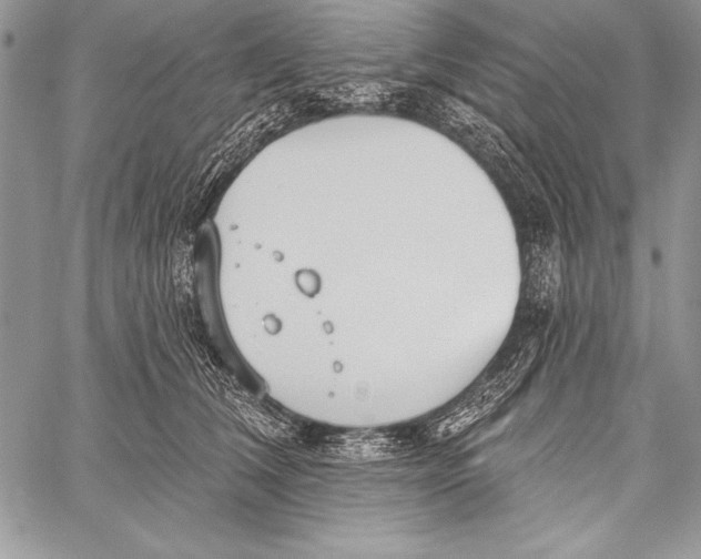 X0000058120612200510171312