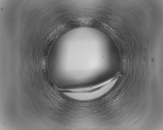 X0000058120613200510171312