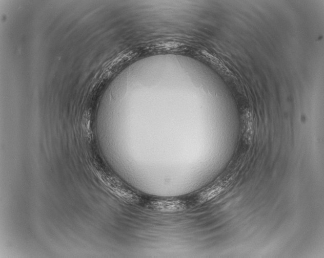 X0000058120615200510171312