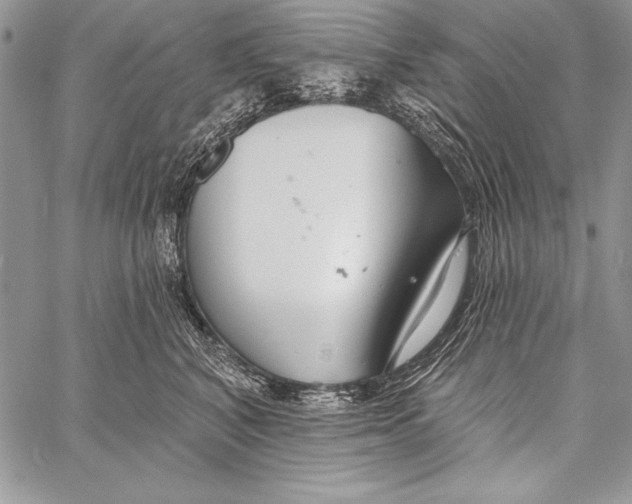 X0000058120616200510171312