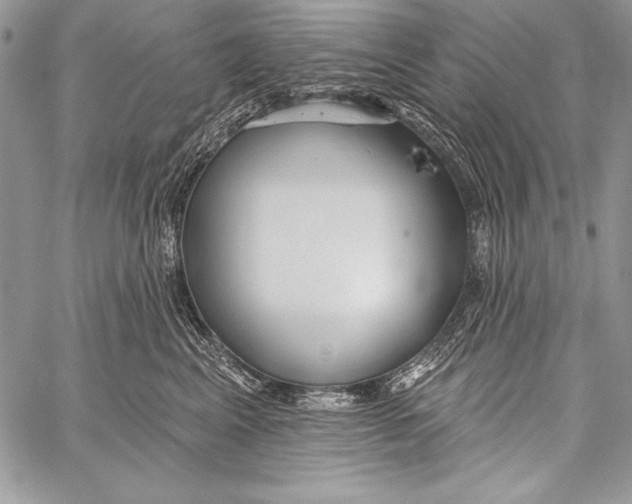 X0000058120617200510171312