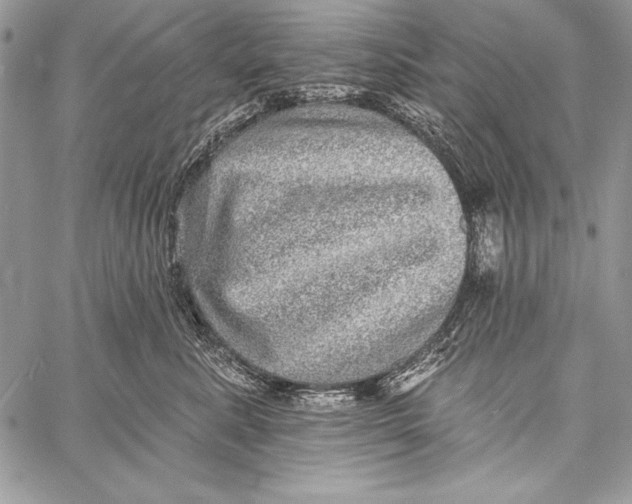 X0000058120619200510171312