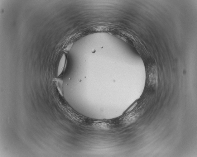 X0000058120620200510171312