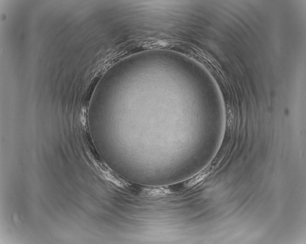 X0000058120621200510171312