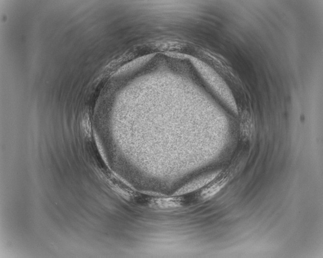 X0000058120622200510171312