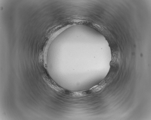 X0000058120623200510171312