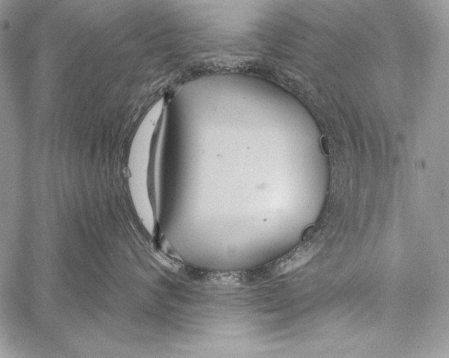 X0000058120624200510171312