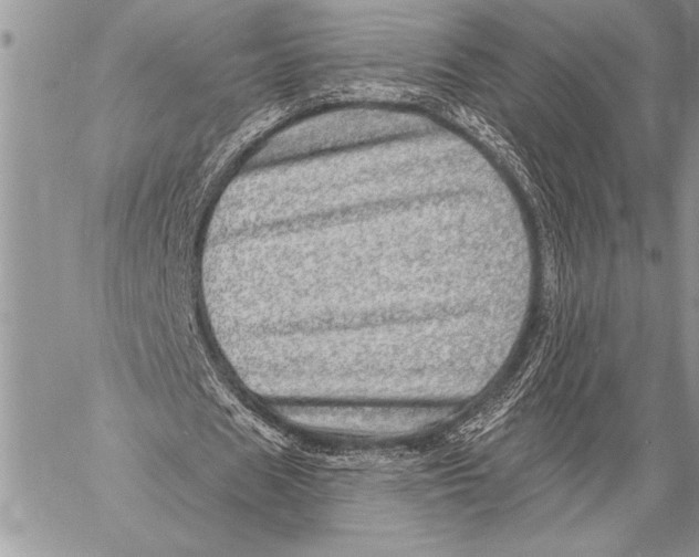 X0000058120625200510171311