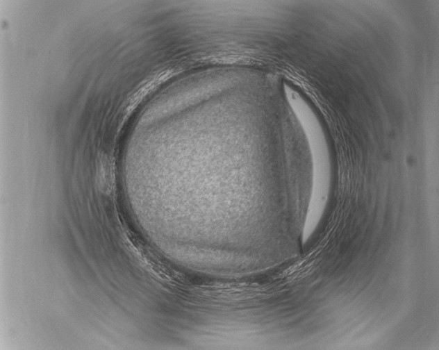 X0000058120626200510171311