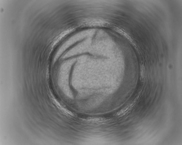 X0000058120629200510171311