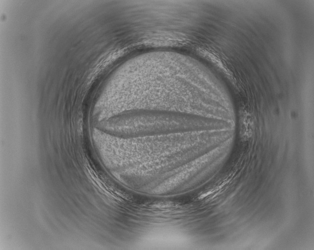 X0000058120631200510171311