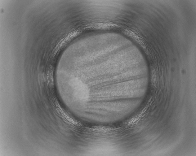 X0000058120633200510171311