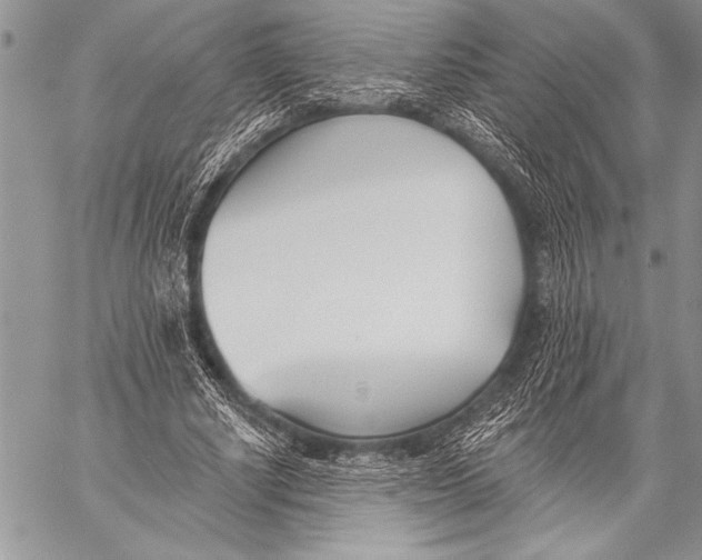 X0000058120634200510171311