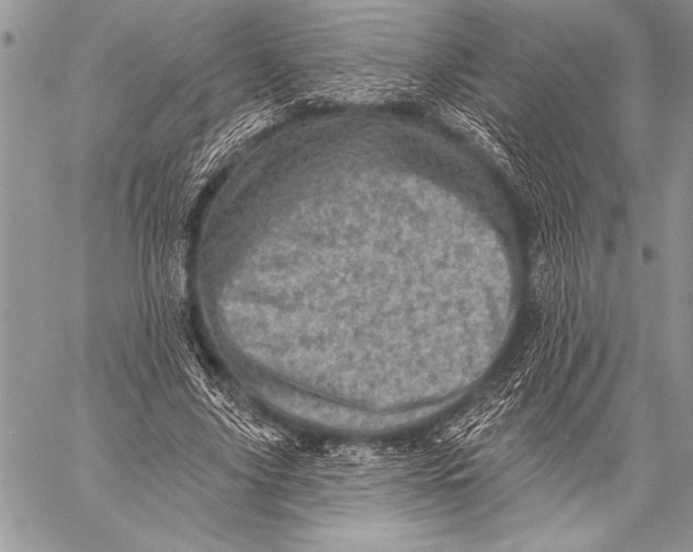 X0000058120635200510171311