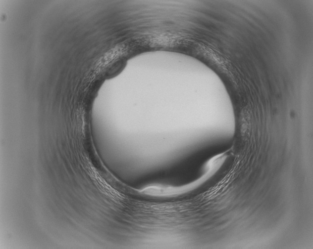 X0000058120637200510171311