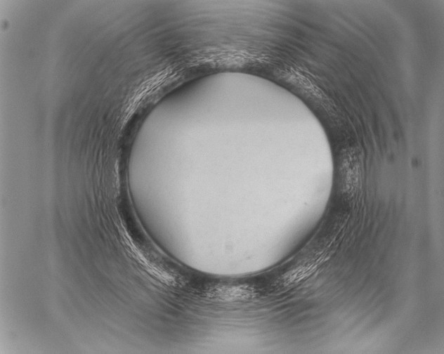 X0000058120638200510171311