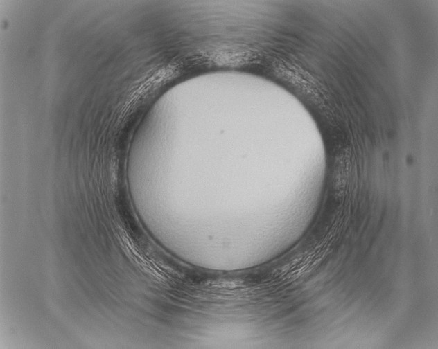 X0000058120639200510171311