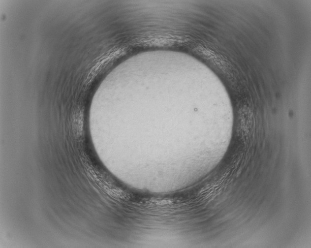 X0000058120640200510171311