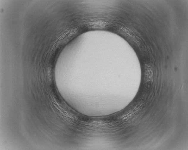 X0000058120641200510171311