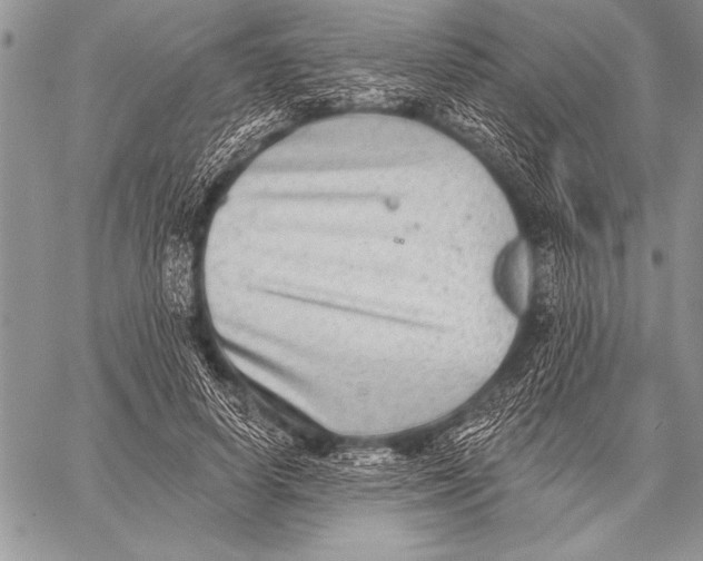 X0000058120642200510171311