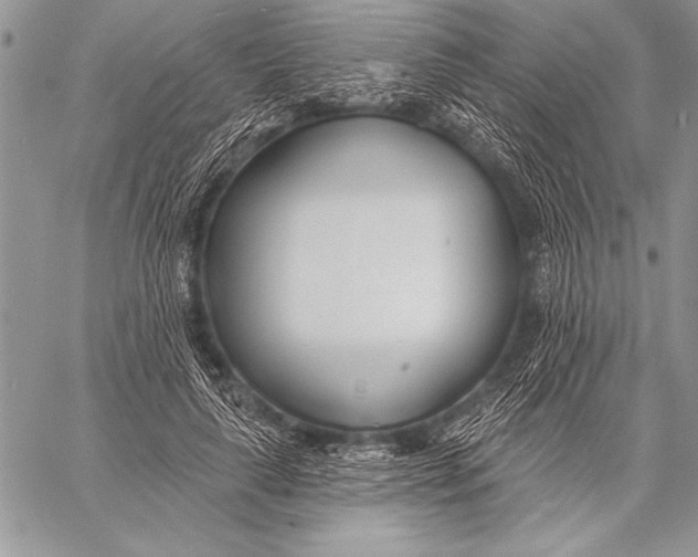 X0000058120643200510171311