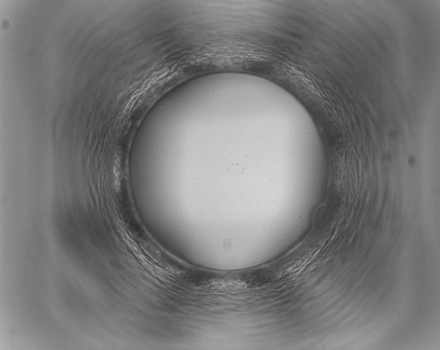 X0000058120644200510171311